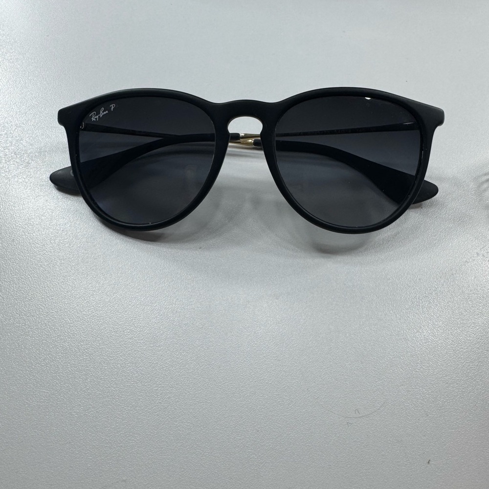 Ericka Ray-Ban Matte Black Sunglasses